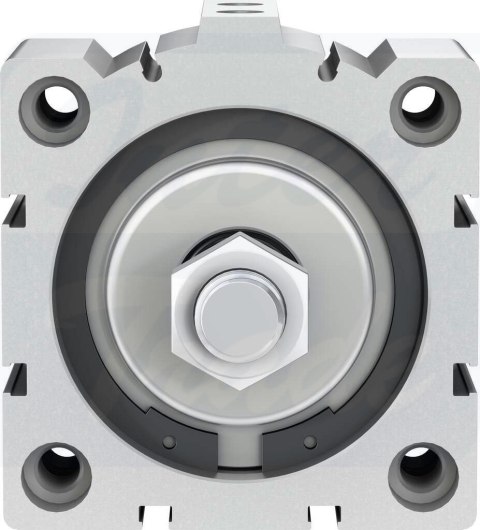 [ADVC-80-15-A-P] {188321} Siłownik krótkoskokowy