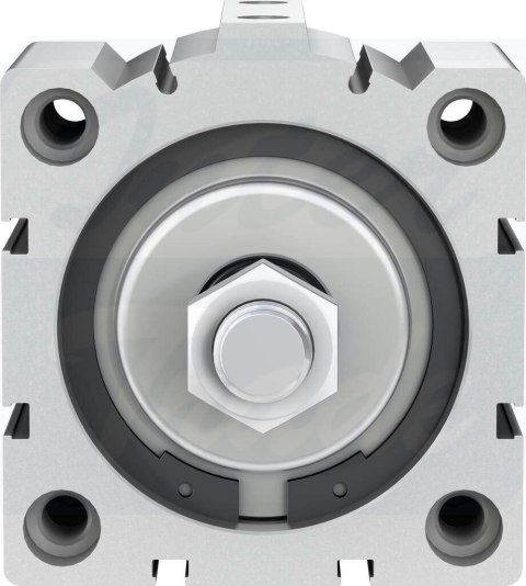 [ADVC-80-20-A-P-A] {188318} Siłownik krótkoskokowy