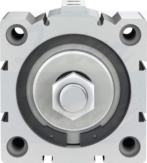 [ADVC-80-25-A-P] {188323} Siłownik krótkoskokowy