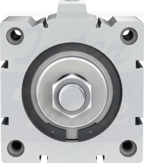 [AEVC-100-25-A-P] {188331} Siłownik krótkoskokowy