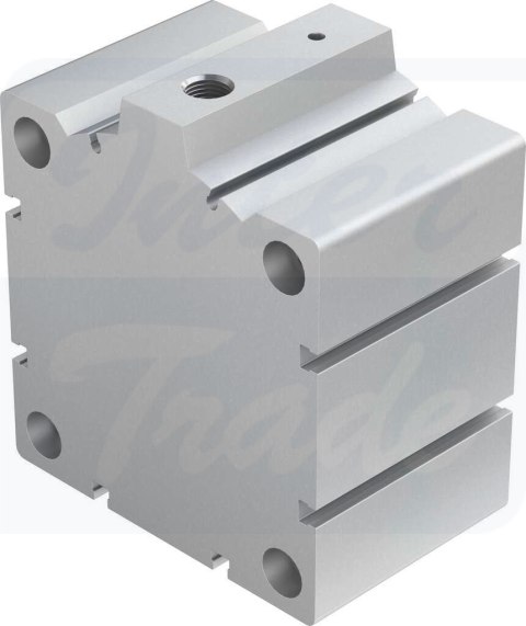 [AEVC-100-25-I-P] {188327} Siłowniki krótkoskokowe