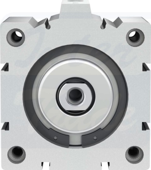 [AEVC-100-25-I-P] {188327} Siłowniki krótkoskokowe