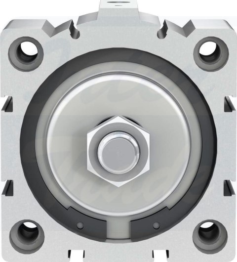 [AEVC-80-10-A-P] {188306} Siłownik krótkoskokowy