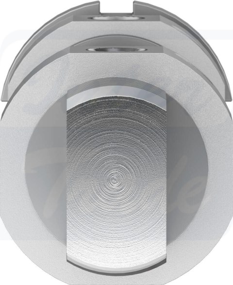 [DSNU-32-40-PPV-A] {196021} Siłownik okrągły