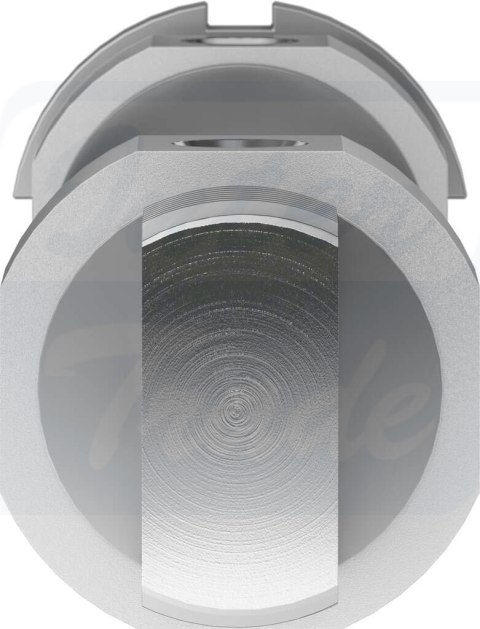 [DSNU-40-125-P-A] {195995} Siłownik okrągły