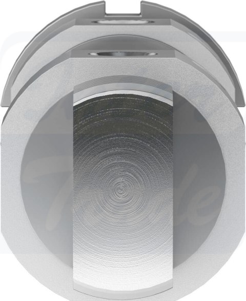 [DSNU-40-50-PPV-A] {196032} Siłownik okrągły