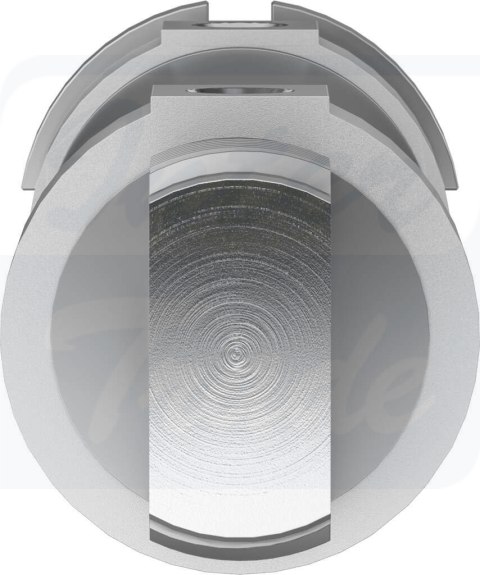 [DSNU-50-100-P-A] {196004} Siłownik okrągły