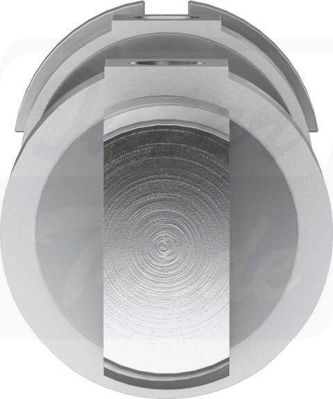 [DSNU-50-100-PPV-A] {196044} Siłownik okrągły