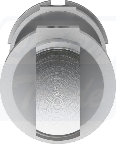 [DSNU-50-160-PPV-A] {196046} Siłownik okrągły