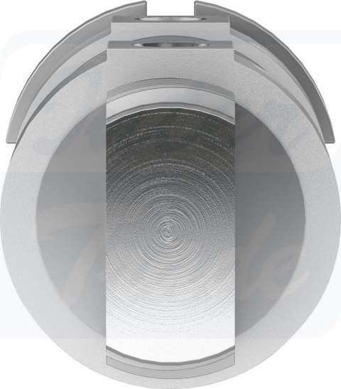 [DSNU-50-25-PPV-A] {196040} Siłownik okrągły