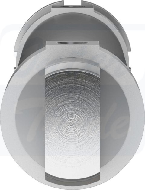 [DSNU-50-250-PPV-A] {196048} Siłownik okrągły