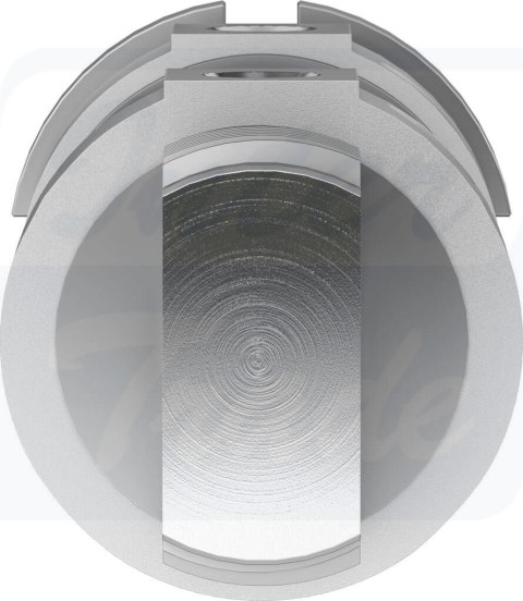 [DSNU-50-40-PPV-A] {196041} Siłownik okrągły