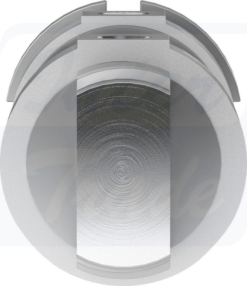 [DSNU-50-50-PPV-A] {196042} Siłownik okrągły