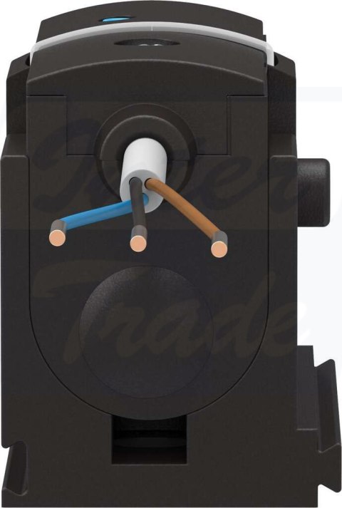 [SDE5-D10-FP-Q4E-P-K] {542901} Czujnik ciśnienia