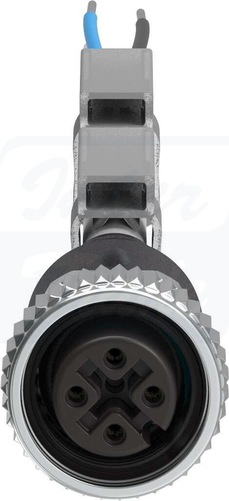 [NEBU-M12G5-K-2.5-LE4] {550326} Kabel łączący