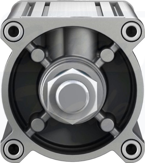 [DSBC-125-500-PPVA-N3] {1804967} Siłownik znormalizowany