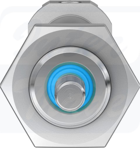 [DSNU-12-60-P-A] {1908258} Siłownik znormalizowany