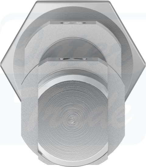 [DSNU-12-60-P-A] {1908258} Siłownik znormalizowany