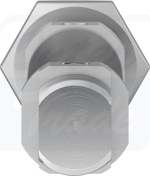 [DSNU-16-60-P-A] {1908263} Siłownik znormalizowany