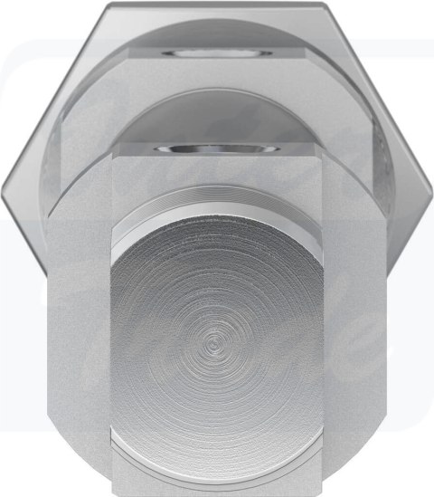 [DSNU-20-70-P-A] {1908287} Siłownik znormalizowany