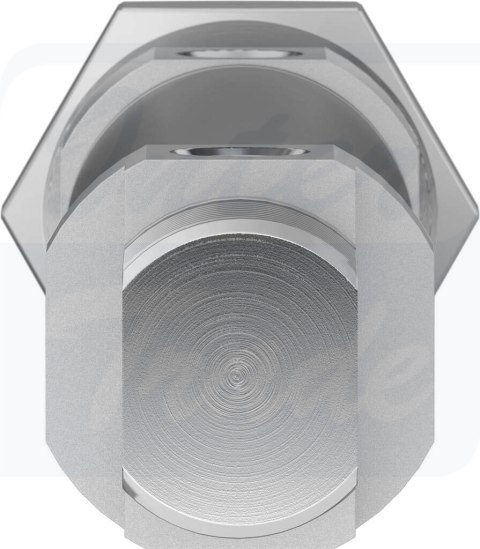 [DSNU-25-60-P-A] {1908309} Siłownik znormalizowany