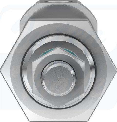 [DSNU-25-60-PPV-A] {1908317} Siłownik znormalizowany