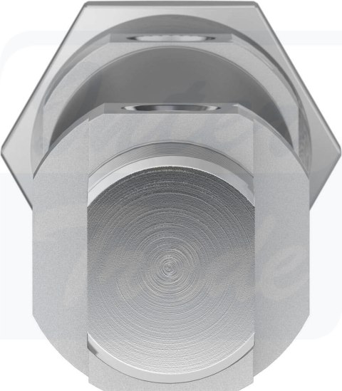 [DSNU-25-60-PPV-A] {1908317} Siłownik znormalizowany