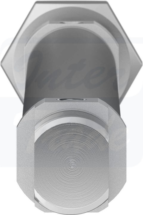 [DSNU-16-160-PPS-A] {559269} Siłownik znormalizowany