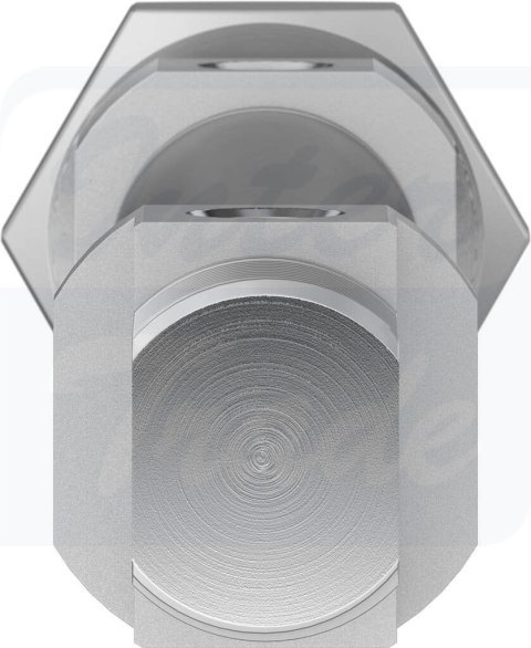 [DSNU-20-100-PPS-A] {559275} Siłownik znormalizowany