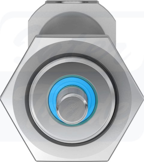 [DSNU-20-125-PPS-A] {559276} Siłownik znormalizowany