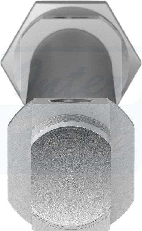 [DSNU-20-250-PPS-A] {559279} Siłownik znormalizowany