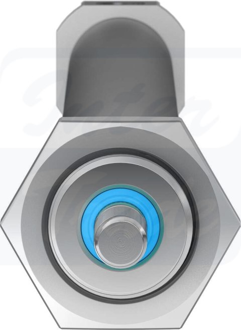 [DSNU-20-300-PPS-A] {559280} Siłownik znormalizowany