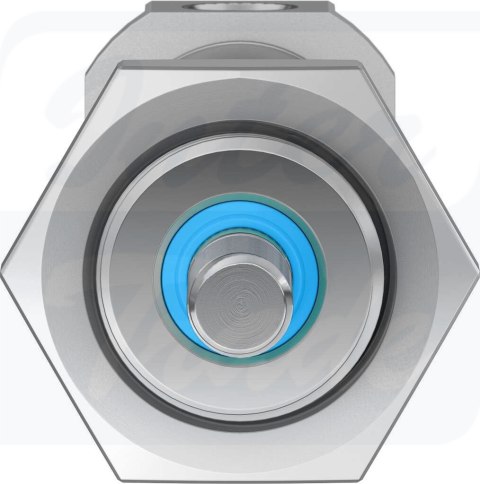 [DSNU-20-50-PPS-A] {559273} Siłownik znormalizowany