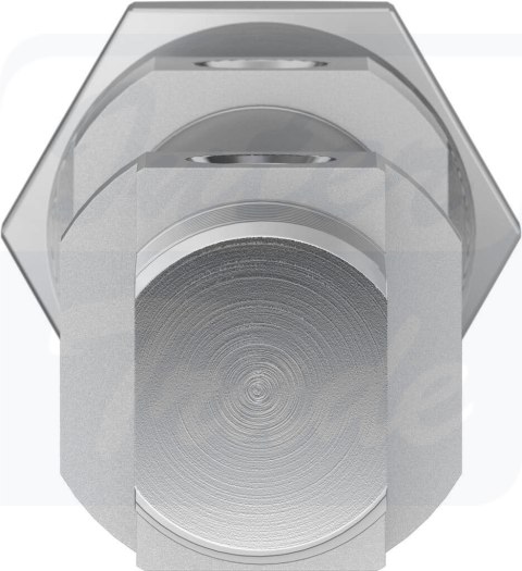 [DSNU-20-50-PPS-A] {559273} Siłownik znormalizowany