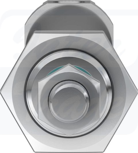 [DSNU-25-100-PPS-A] {559286} Siłownik znormalizowany