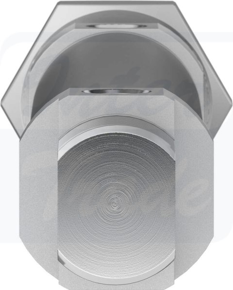 [DSNU-25-100-PPS-A] {559286} Siłownik znormalizowany