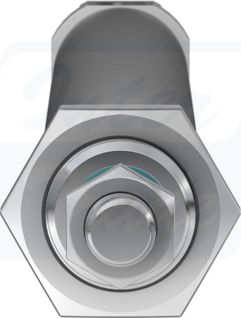 [DSNU-25-250-PPS-A] {559290} Siłownik znormalizowany