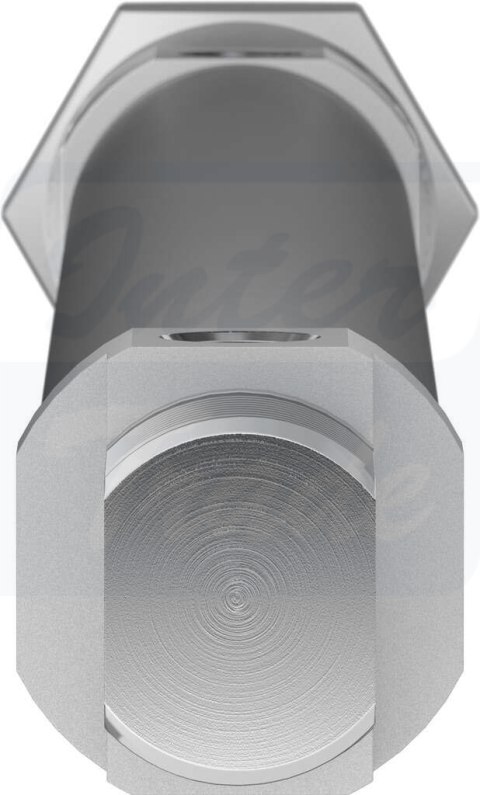 [DSNU-25-250-PPS-A] {559290} Siłownik znormalizowany