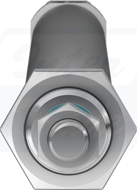 [DSNU-25-300-PPS-A] {559291} Siłownik znormalizowany