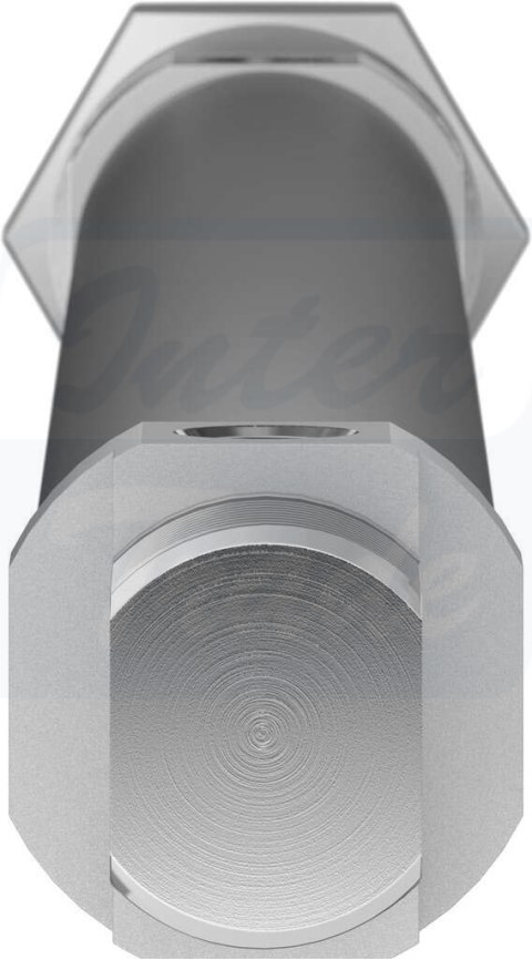 [DSNU-25-300-PPS-A] {559291} Siłownik znormalizowany