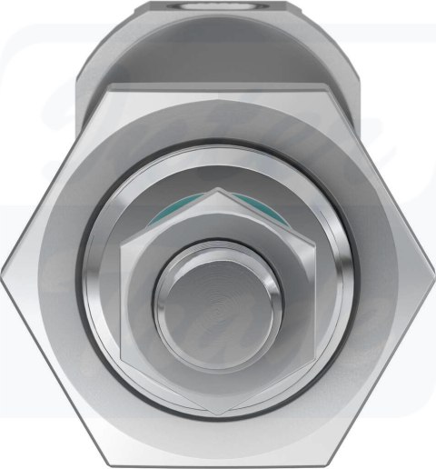 [DSNU-25-80-PPS-A] {559285} Siłownik znormalizowany