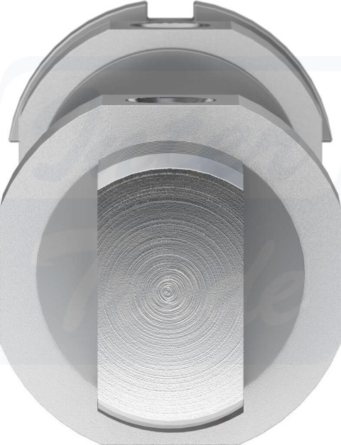 [DSNU-32-100-PPS-A] {559299} Siłownik okrągły