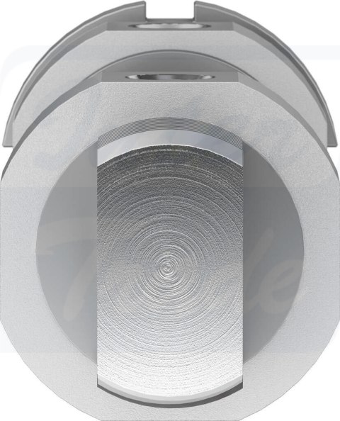 [DSNU-32-50-PPS-A] {559297} Siłownik okrągły