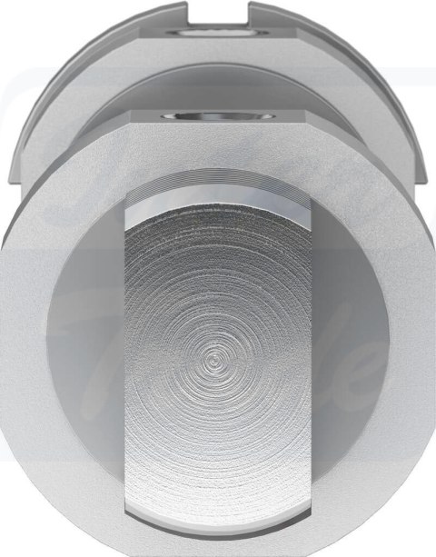 [DSNU-32-80-PPS-A] {559298} Siłownik okrągły