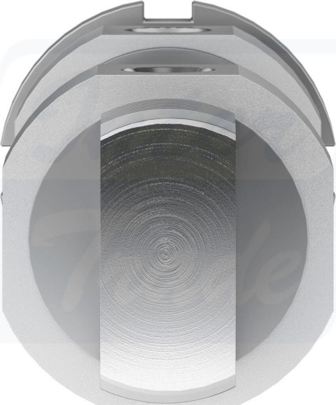 [DSNU-40-40-PPS-A] {559306} Siłownik okrągły