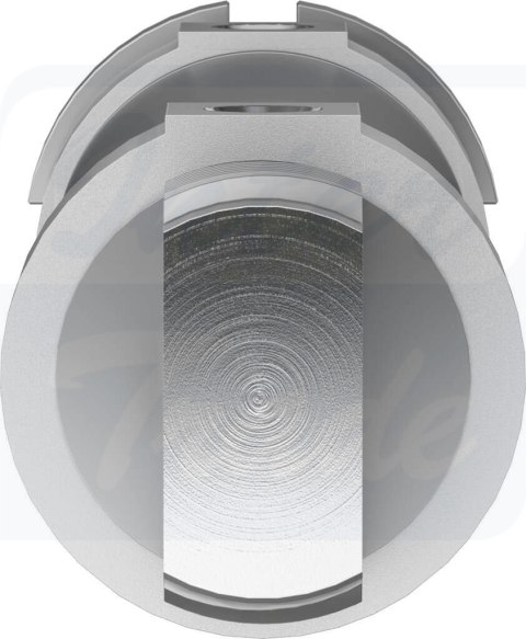 [DSNU-50-125-PPS-A] {559320} Siłownik okrągły