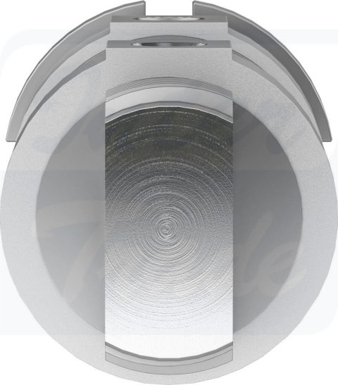 [DSNU-50-25-PPS-A] {559315} Siłownik okrągły