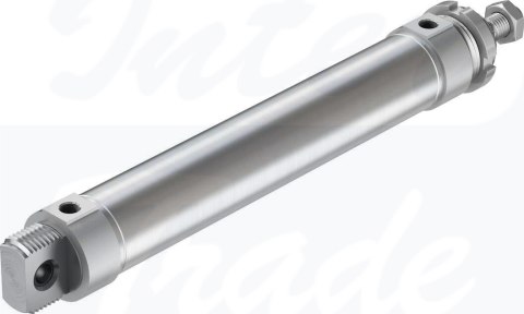 [DSNU-50-250-PPS-A] {559323} Siłownik okrągły