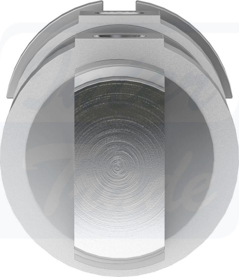 [DSNU-50-50-PPS-A] {559317} Siłownik okrągły