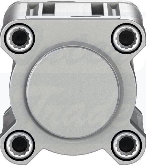 [DSBC-50-125-PPSA-N3] {1376308} Siłownik znormalizowany